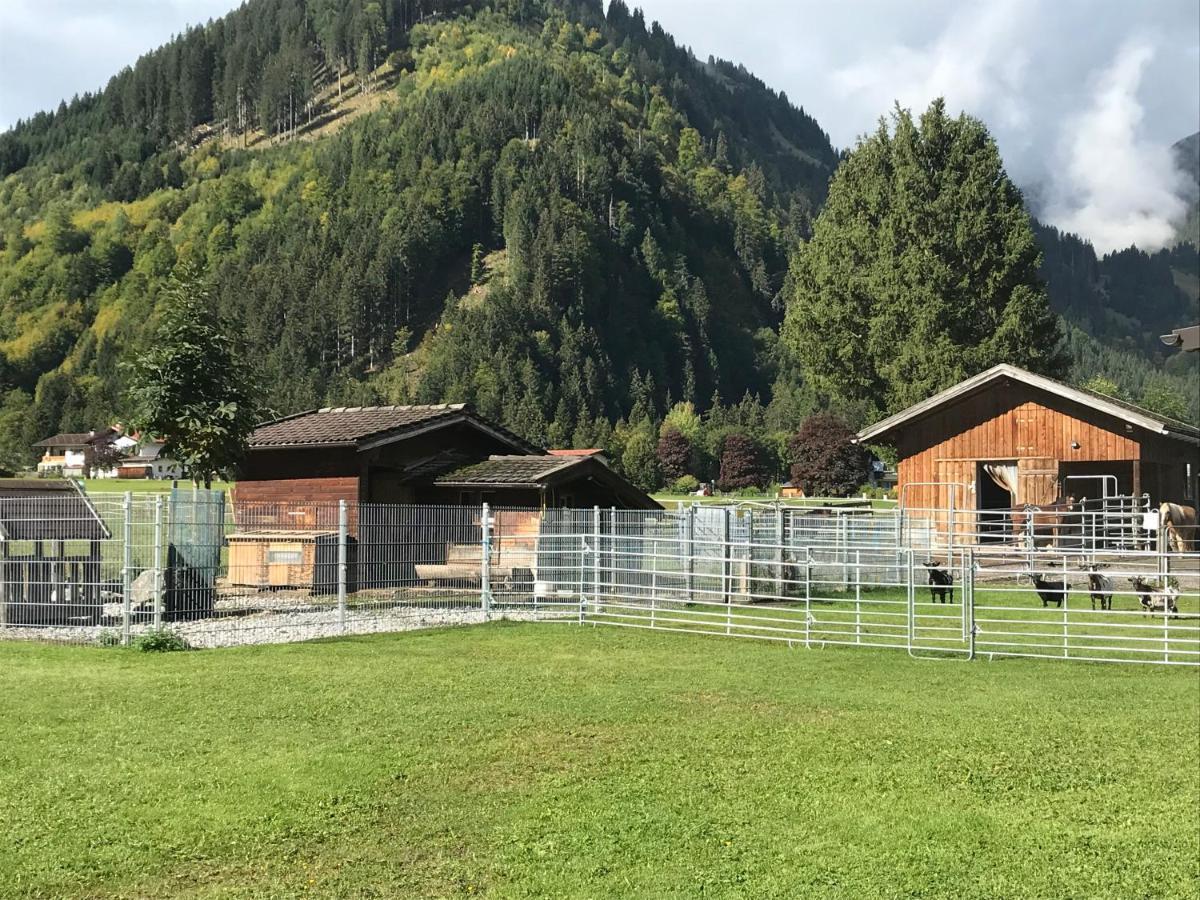 Pony-Ziegen-Hasen-Ranch Bichlbach Apartment Екстериор снимка