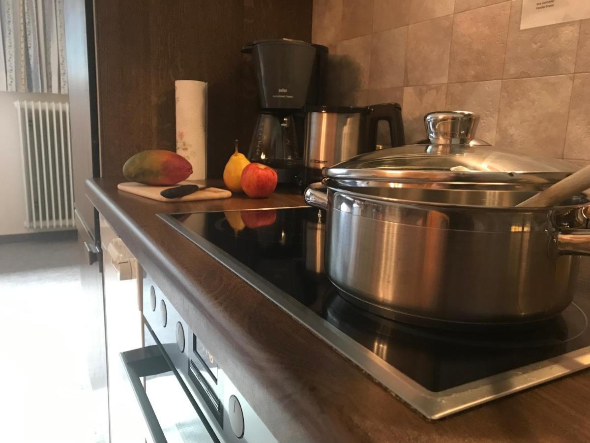 Pony-Ziegen-Hasen-Ranch Bichlbach Apartment Екстериор снимка