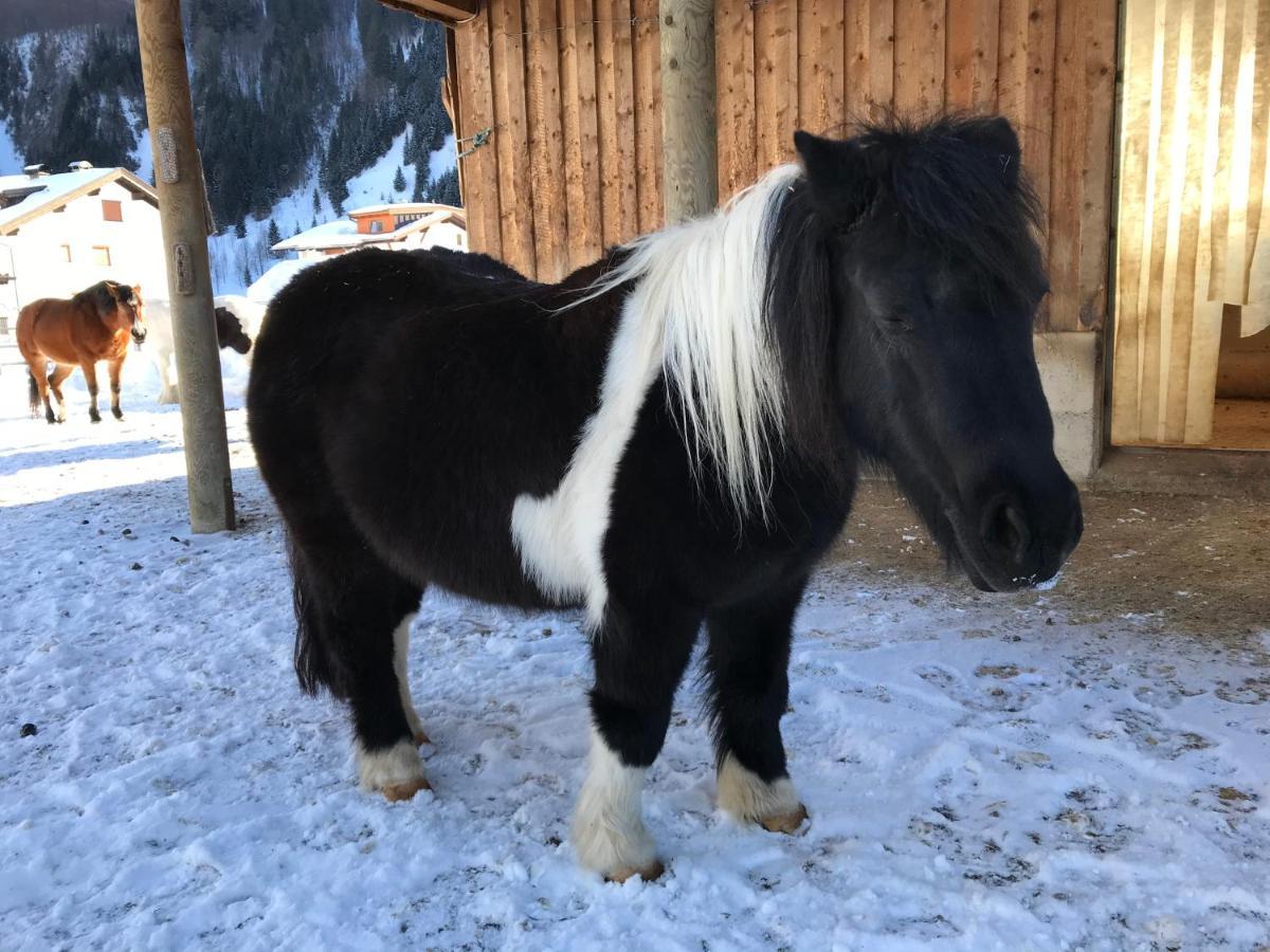 Pony-Ziegen-Hasen-Ranch Bichlbach Apartment Екстериор снимка