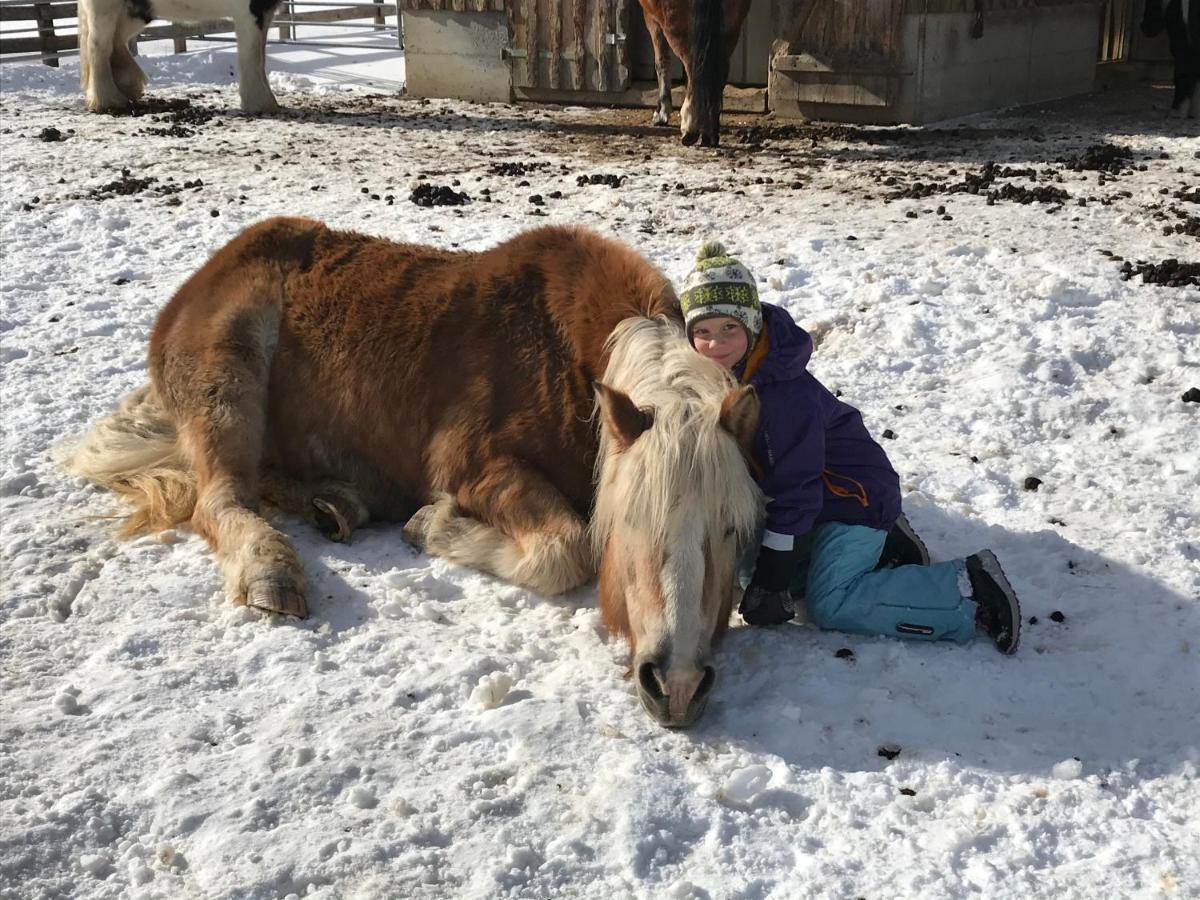 Pony-Ziegen-Hasen-Ranch Bichlbach Apartment Екстериор снимка