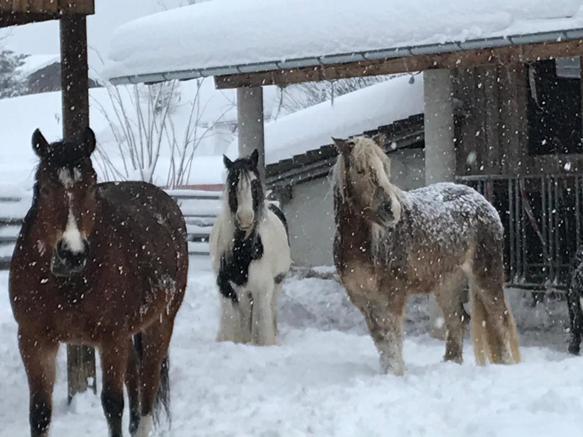 Pony-Ziegen-Hasen-Ranch Bichlbach Apartment Екстериор снимка