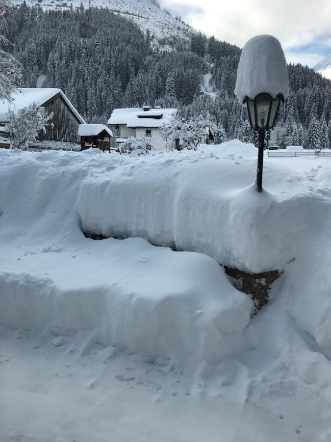 Pony-Ziegen-Hasen-Ranch Bichlbach Apartment Екстериор снимка