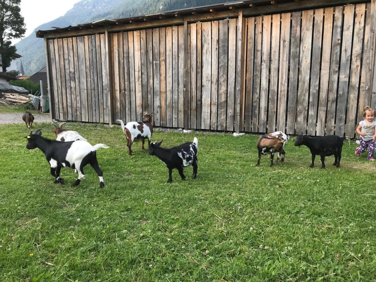 Pony-Ziegen-Hasen-Ranch Bichlbach Apartment Екстериор снимка